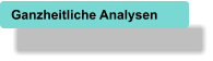 Ganzheitliche Analysen